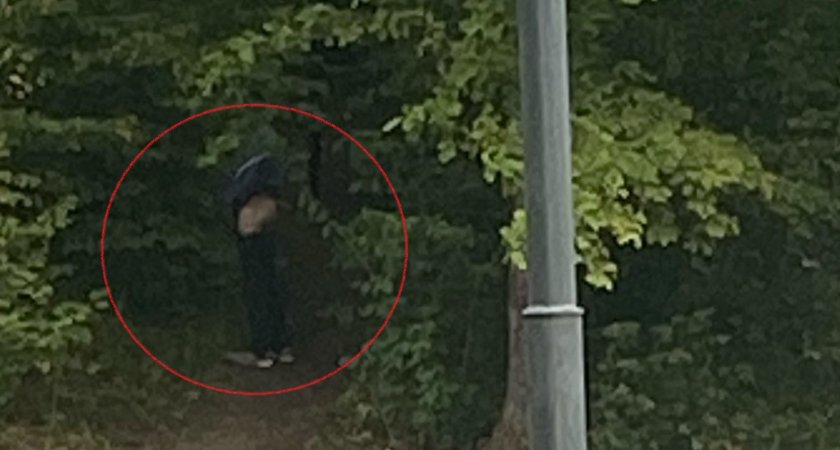 Во Владимирской области охранник парка отказался защитить девушек от извращенца без штанов