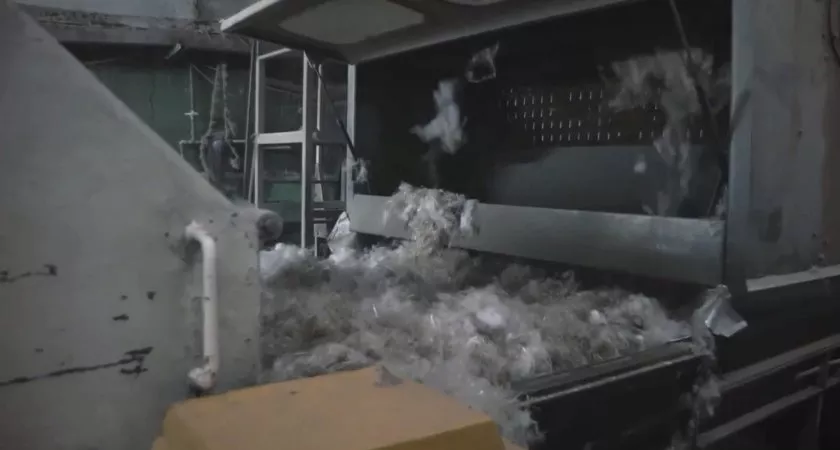 Фото к статье: Во Владимирской области коноплёй будут набивать подушки и матрасы