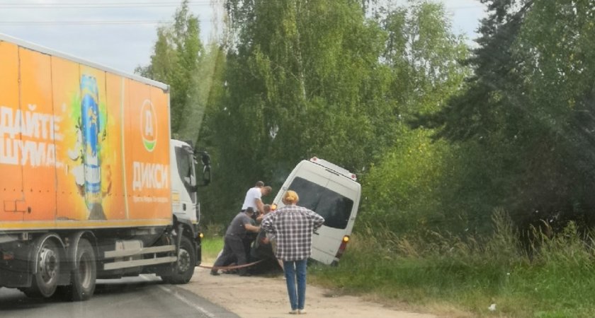 Во Владимирской области водитель пошел за черникой, а его микроавтобус скатился в кювет