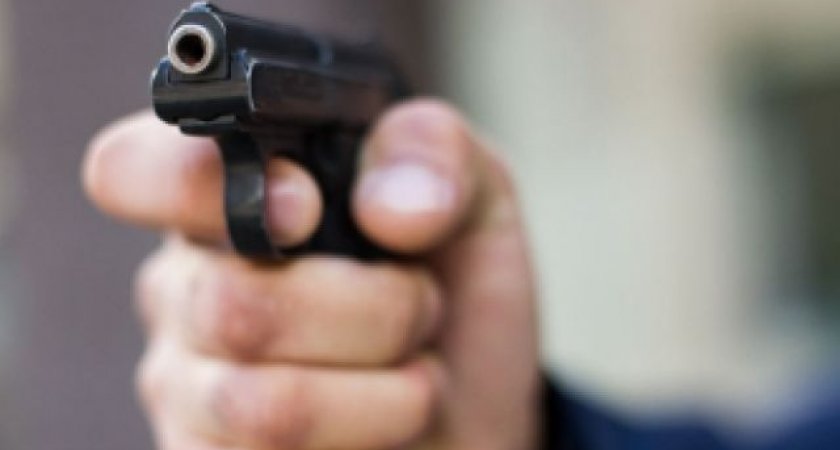 В Петушинском районе мужчина убил соседа из сигнального пистолета