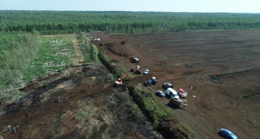 Торфяной пожар во Владимирской области пытались скрыть