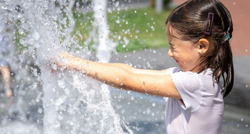 В оставшиеся дни лета во Владимире обещают аномально жаркую погоду без дождей