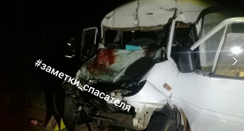 В Вязниковском районе в ДТП с микроавтобусом погибли несколько человек