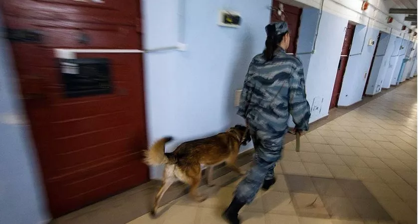 Фото к статье: Избитый во владимирском СИЗО меленковец отсудил компенсацию
