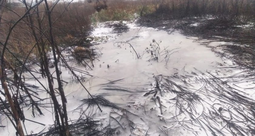 Названы предприятия-активные загрязнители водоёмов во Владимирской области