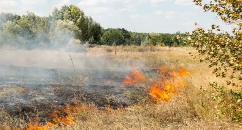 В Муромском районе не ограничили вход в лес и устроили там легковоспламеняющуюся свалку