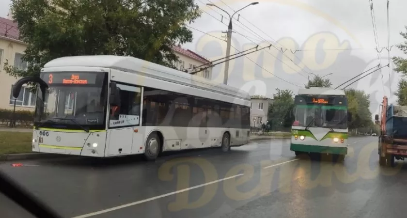 Фото к статье: Странные дни в Коврове: свалка унитазов, коровы на клумбах и троллейбусные обгонялки