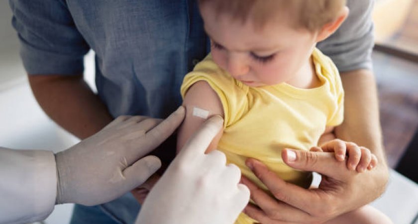 Жителям Владимирской области настоятельно советуют сделать прививки от трех инфекций 