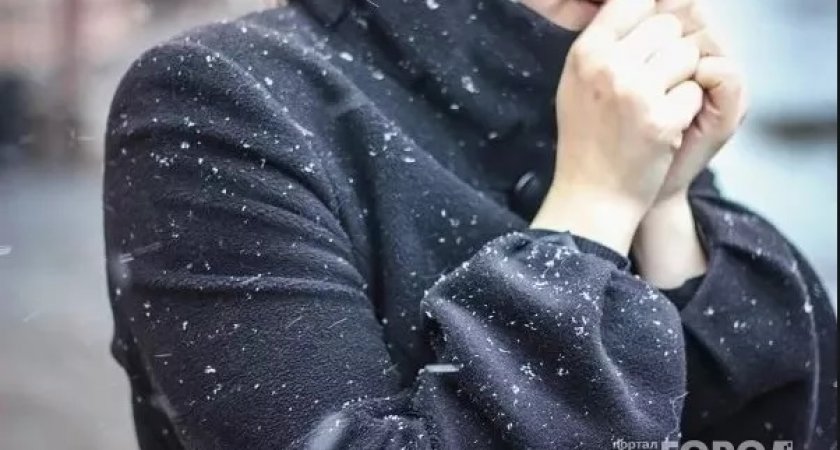 Владимирцев предупредили об аномально суровой зиме