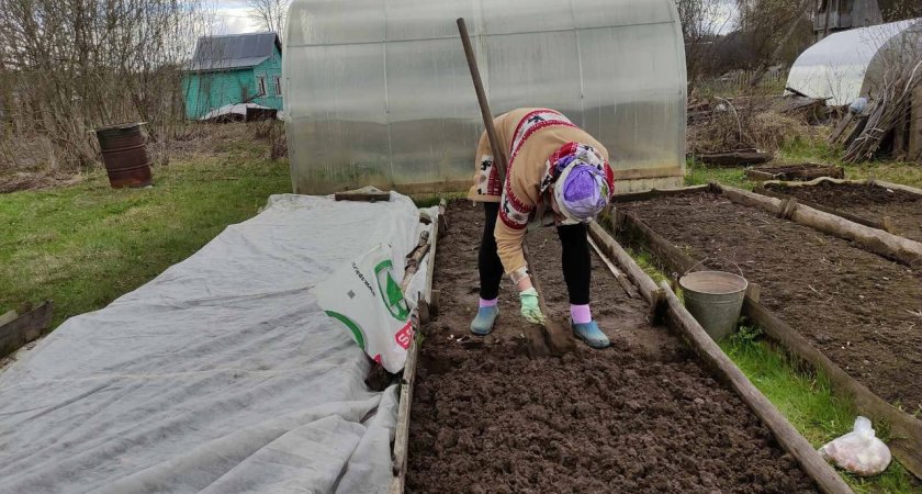 Владимирцам рассказали, за что могут оштрафовать при подготовке дачи к зиме