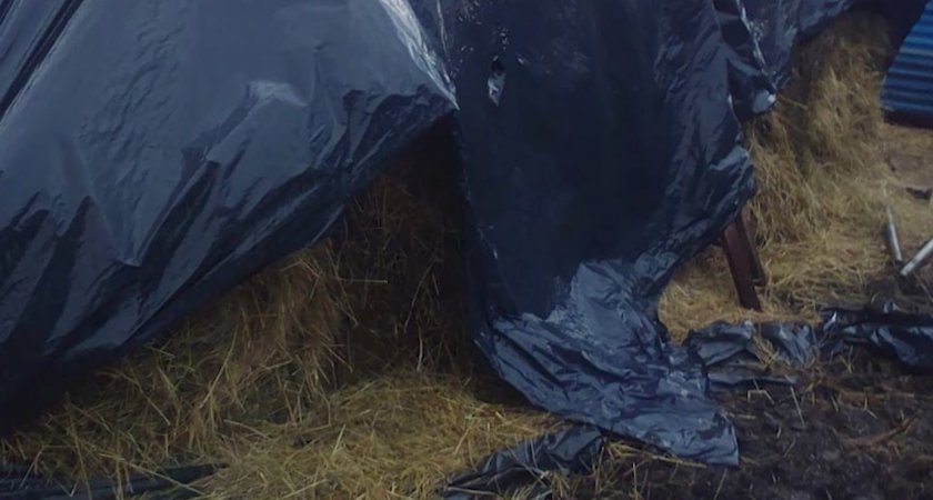 Пропавшего во Владимирской области мальчика нашли в стоге сена