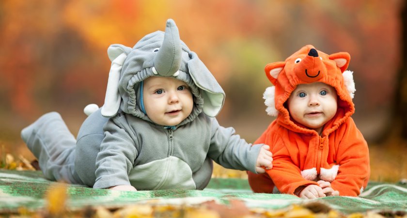 Зубайр, Марс, Афина, Бибихонм: необычные имена младенцев во Владимирской области