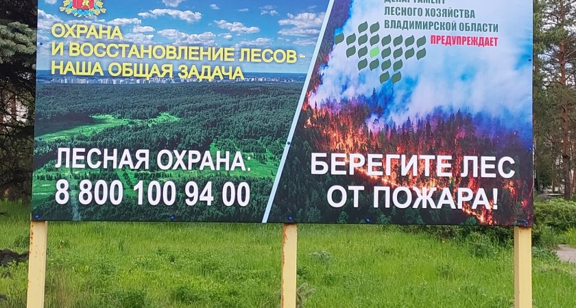 Во Владимирской области пожароопасный сезон официально закрыт