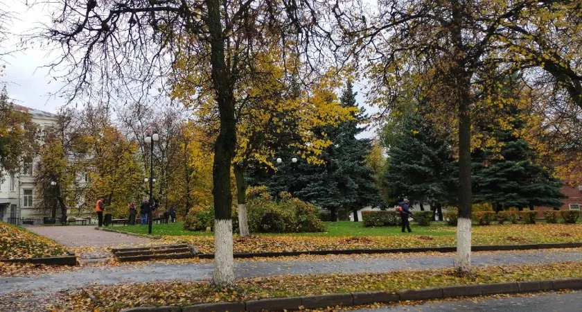 Фото к статье: Владимирцам пообещали сухую погоду с холодным северным ветром
