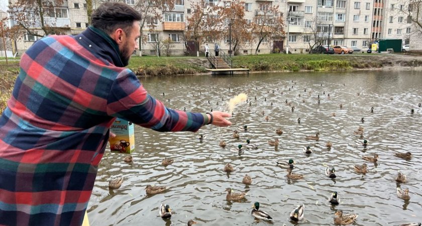 Во Владимире завершили благоустройство Платоновского пруда
