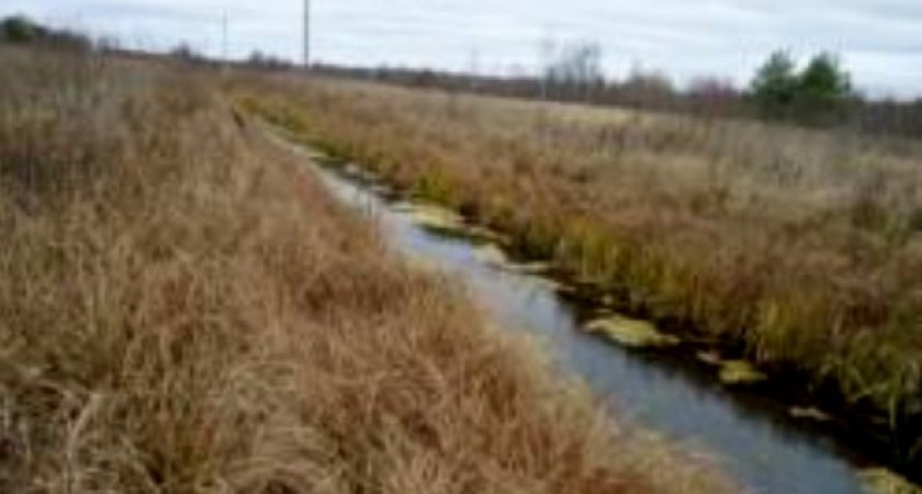 Во Владимирской области обнаружили земли с заброшенными мелиоративными каналами
