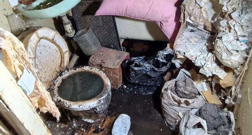 Во Владимире пенсионерка с психическим расстройством заливала соседей нечистотами