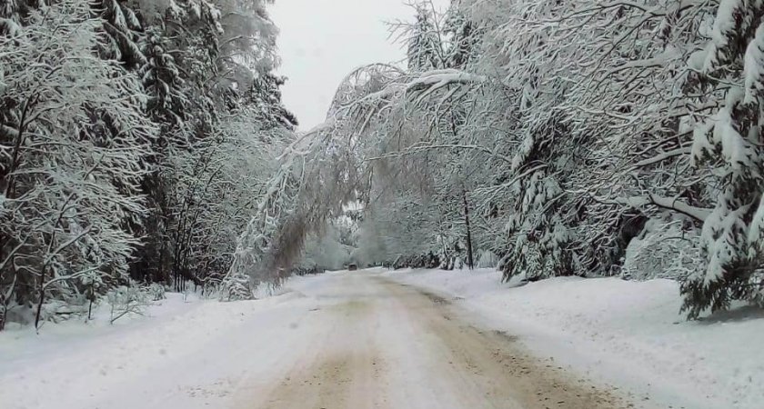 Во Владимирской области 337 энергетиков устраняют последствия недавних снегопадов