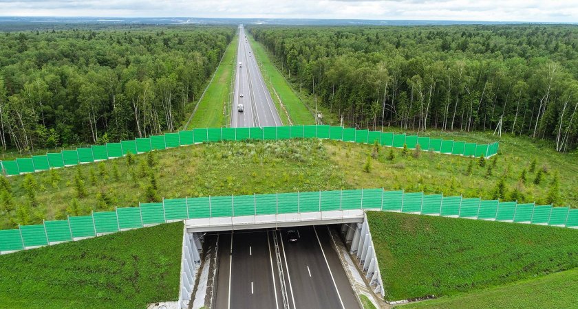 На трассе М-12 во Владимирской области строят переходы для животных