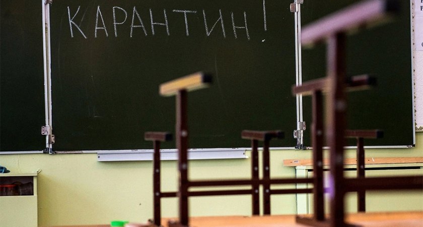 Во Владимирской области несколько школ и детсадов полностью закрыли на карантин