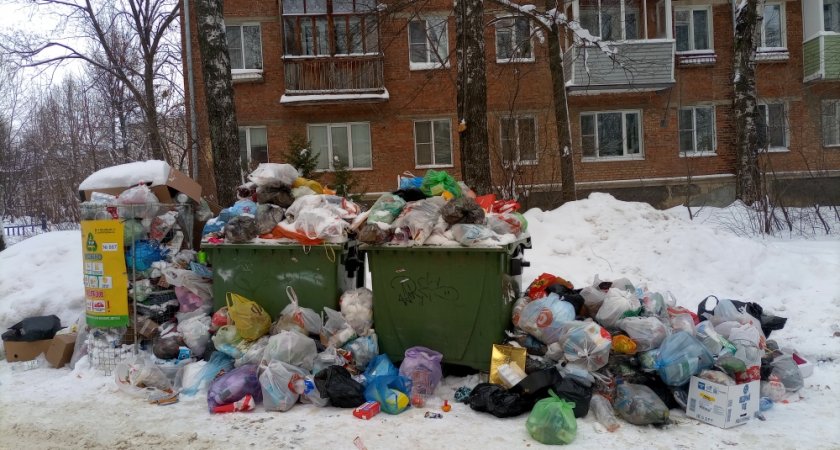 Во Владимирской области прокуратура выявила более 500 нарушений в сфере вывоза отходов