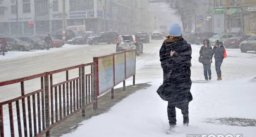 Владимирцам обещают мокрый снег и сильный ветер в новогодние праздники