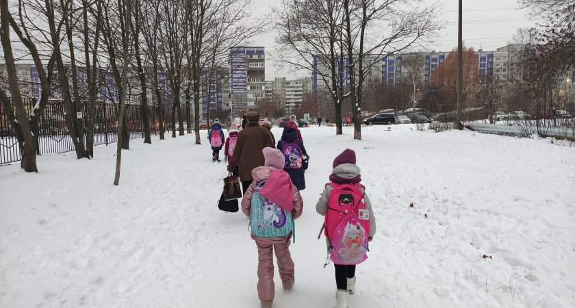 Во Владимирской области начали говорить о переводе учащихся на дистанционку из-за морозов