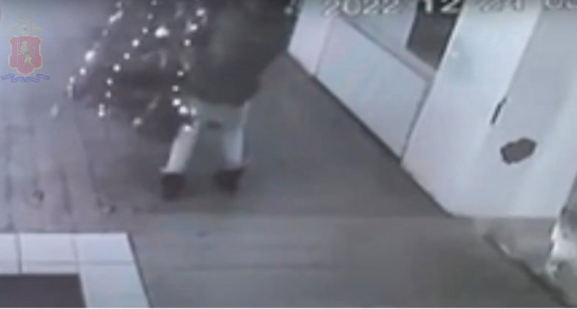 Во Владимире задержали мужчину, укравшего новогоднюю пихту с летней веранды кафе