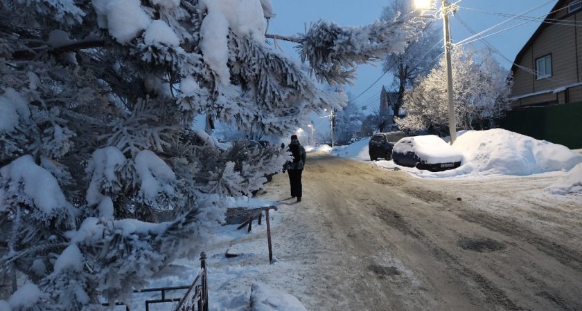 Главный синоптик России раскрыл владимирцам, какой будет вторая половина зимы