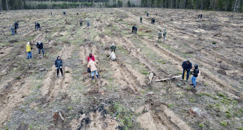 В Волго-Вятском банке Сбербанка подвели итоги ESG-проектов 2022 года