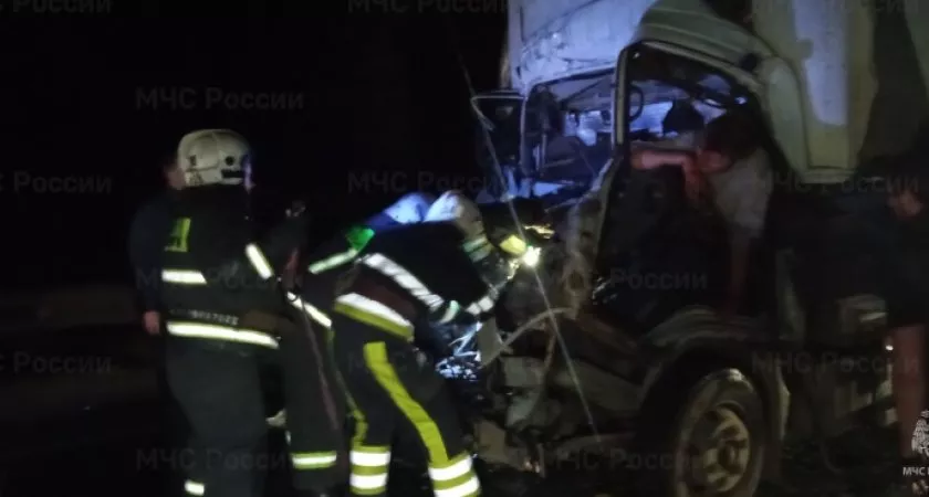 Фото к статье: В Петушинском районе грузовик врезался в дерево