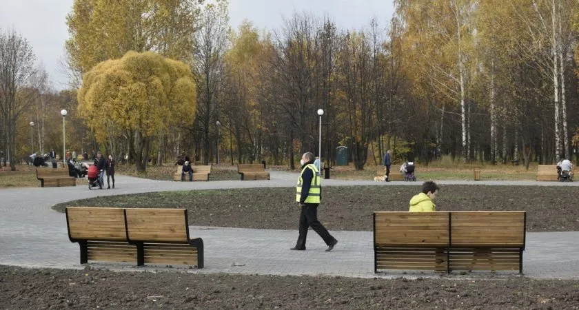 Фото к статье: Владимирская прокуратура обнаружила подлог при реконструкции парка «Добросельский»
