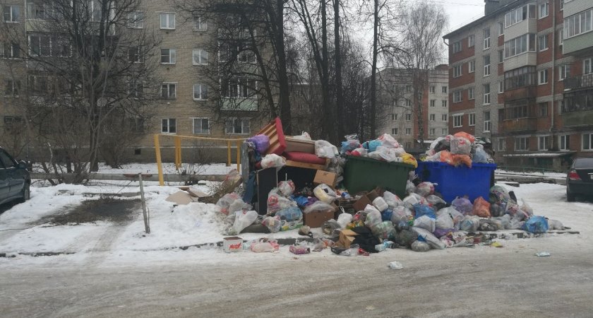 Часть россиян собираются полностью освободить от платы за вывоз мусора