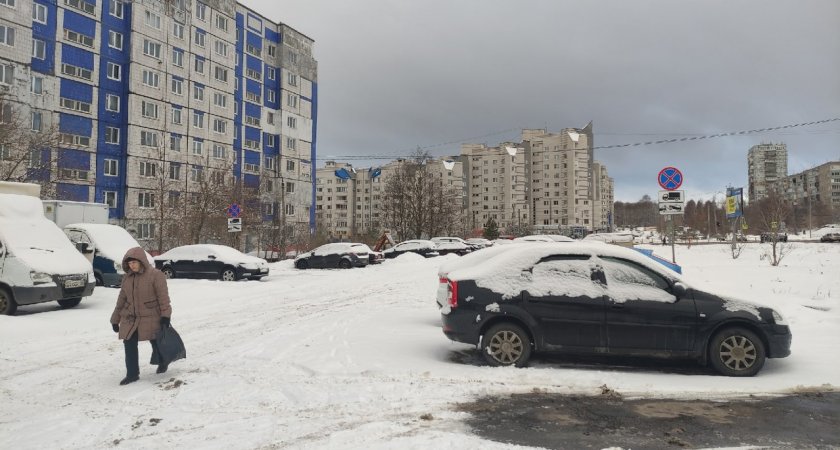 Во Владимире уже на этой неделе установится плюсовая температура