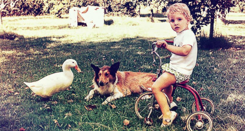 Материнский капитал малообеспеченные владимирцы смогут тратить на детей до трех лет