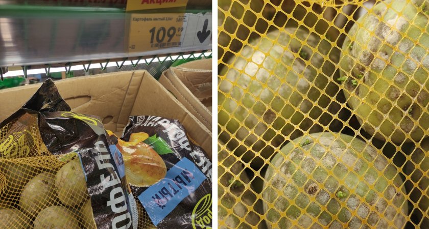 Во Владимире продают ядовитую картошку