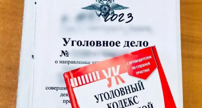 Фото к статье: Обвиненный в краже житель Владимирской области вырвал документы из уголовного дела