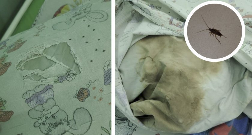 "Стряхиваем тараканов с детских постелей": родители в шоке от условий в ОДКБ во Владимире