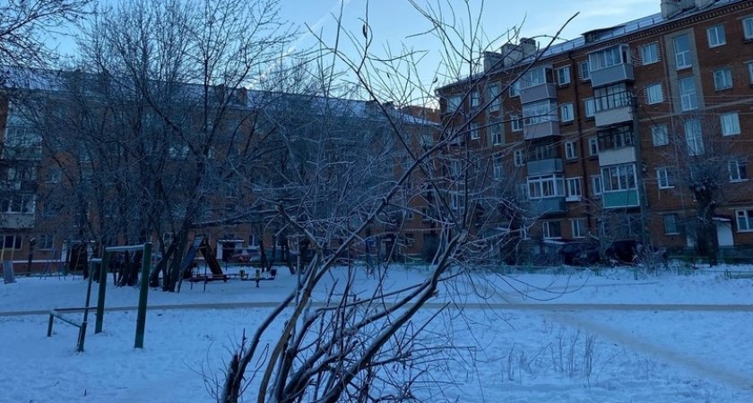 Погода удивит жителей Владимирской области нестандартным поведением