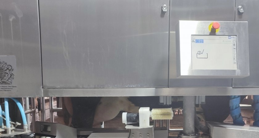 Во Владимирской области появился первый в регионе доительный робот