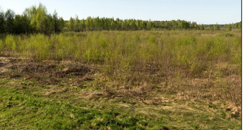В Киржачском районе у нерадивого землевладельца отобрали 69 гектаров 