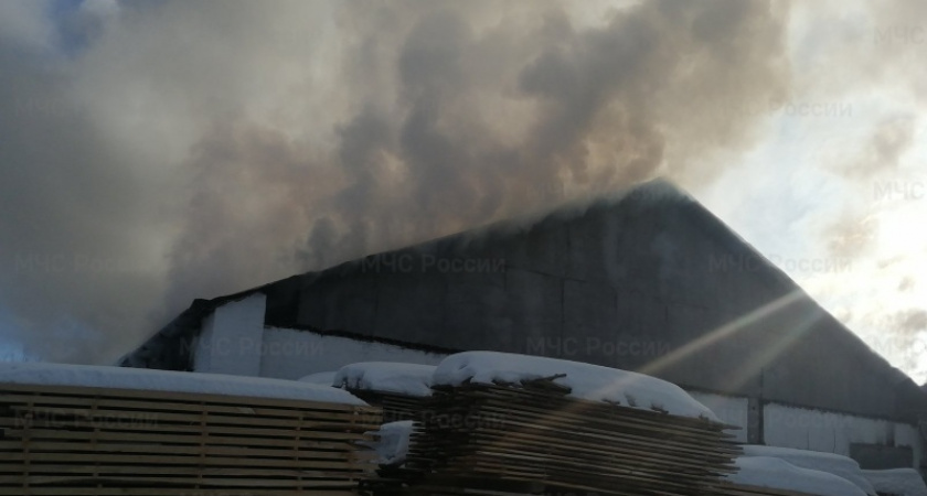 В Суздальском районе загорелось деревообрабатывающее производство