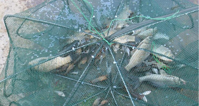 Ловля рыбы на косынку летом видео