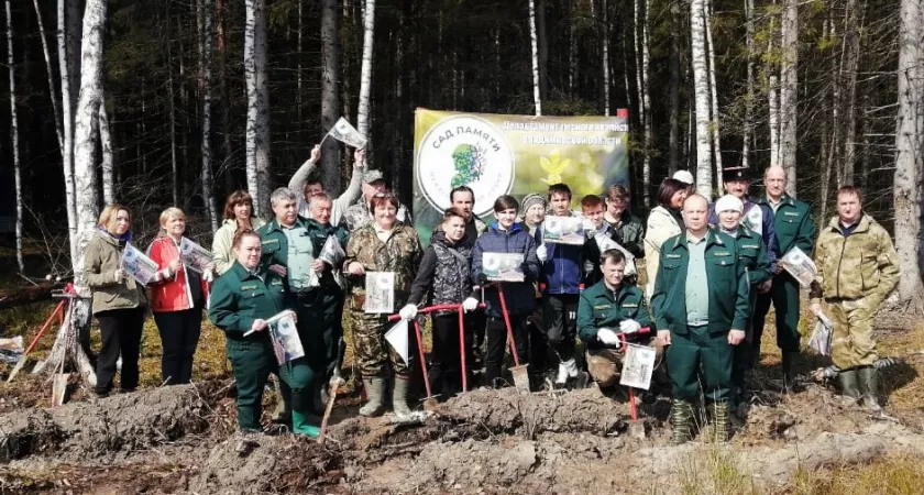 Фото к статье: Во Владимирской области стартовала Международная акция #СадПамяти