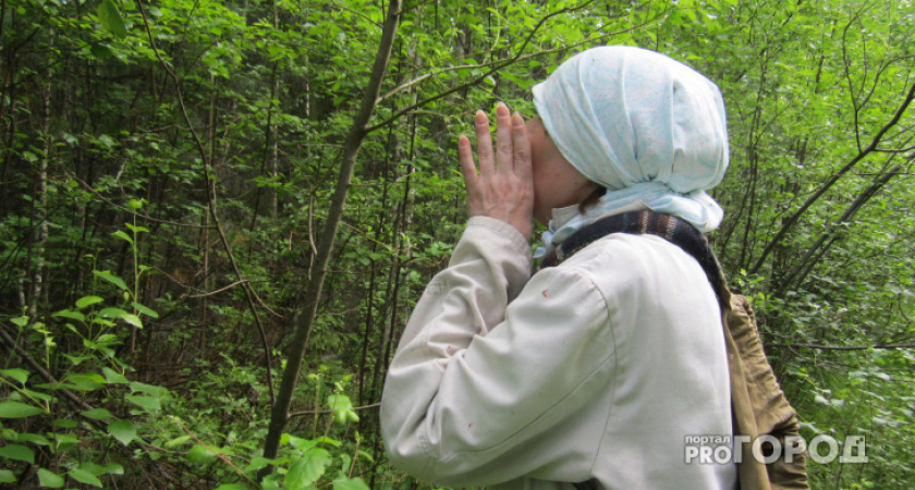 Во Владимирской области пенсионерка угодила в болото в лесу