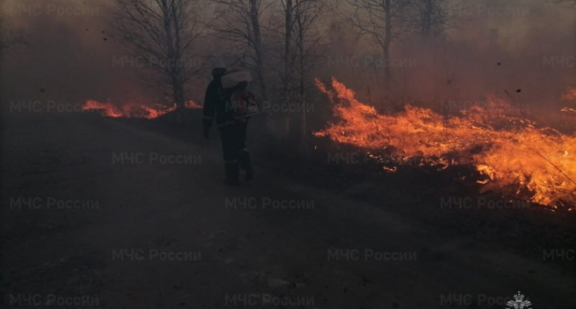 В Меленковском районе загорелась сухая трава на 50 гектарах земли