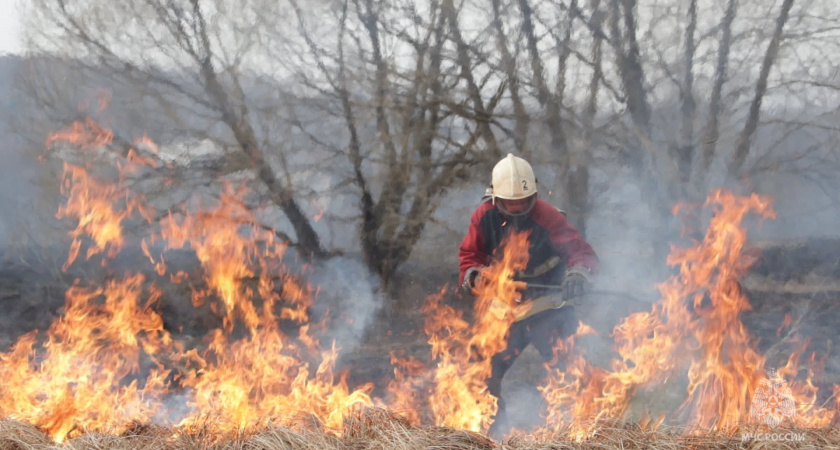 За сутки во Владимирской области произошло более 20 природных пожаров