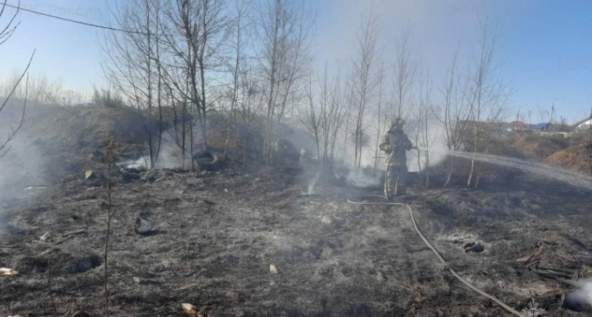 Во Владимирской области за сутки произошло 8 ландшафтных пожаров 