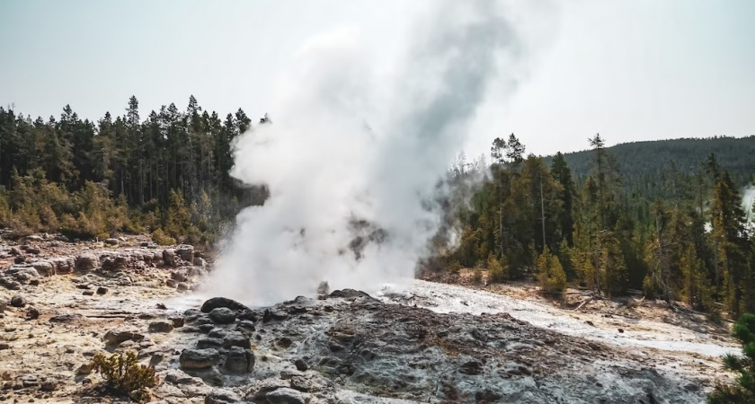 Власти прокомментировали ситуацию со взрывом в лесополосе во Владимирской области
