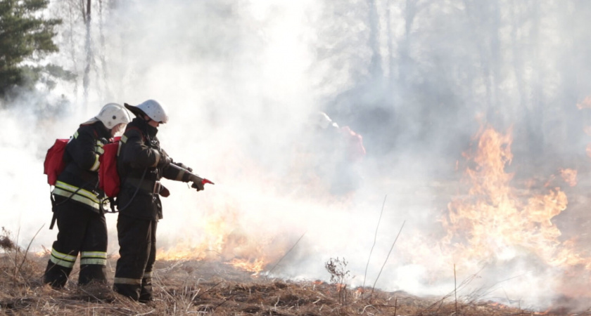 Во Владимирской области ввели высокий уровень пожароопасности